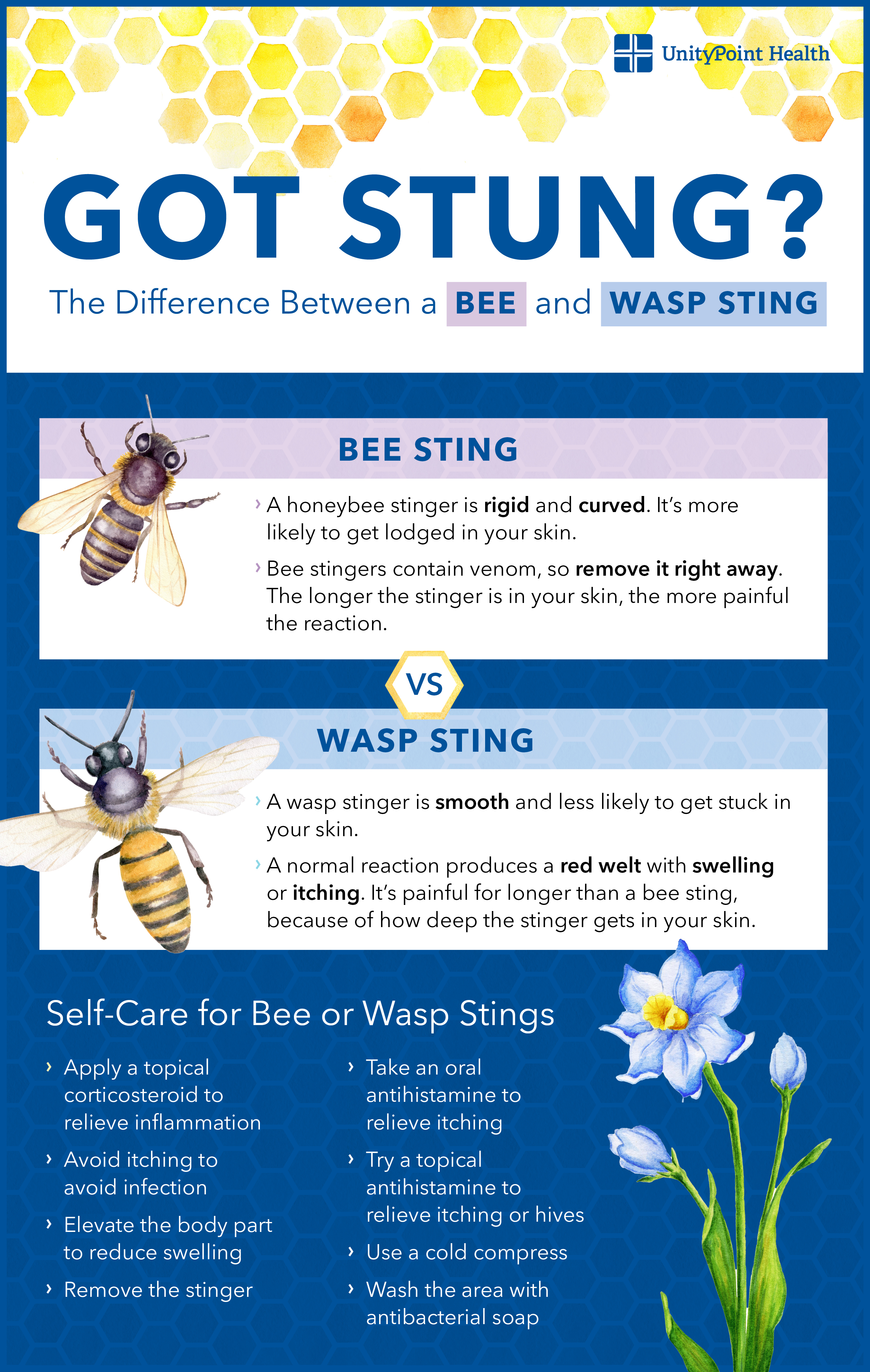 how to treat a wasp sting with tobacco Take Care of Sting: 14 Steps (with Pictures) Bee vs Wasp Sting: How