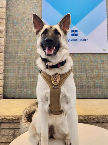 K-9 Officer Kyah.jpg