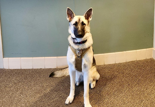 St Lukes Hospital Cedar Rapids k9 dog.jpg