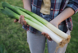 Woman holding leeks - week 38.jpg