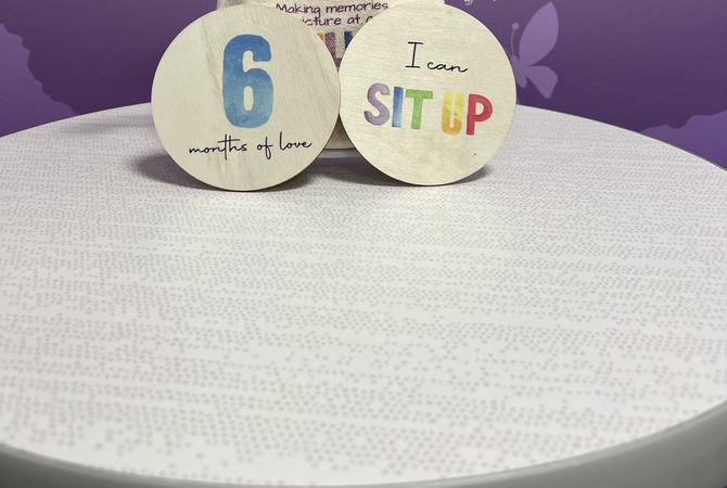Milestone Disks.jpeg