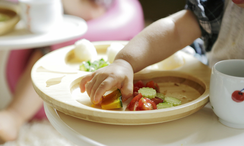 Baby plate of cut up vegetables.jpg