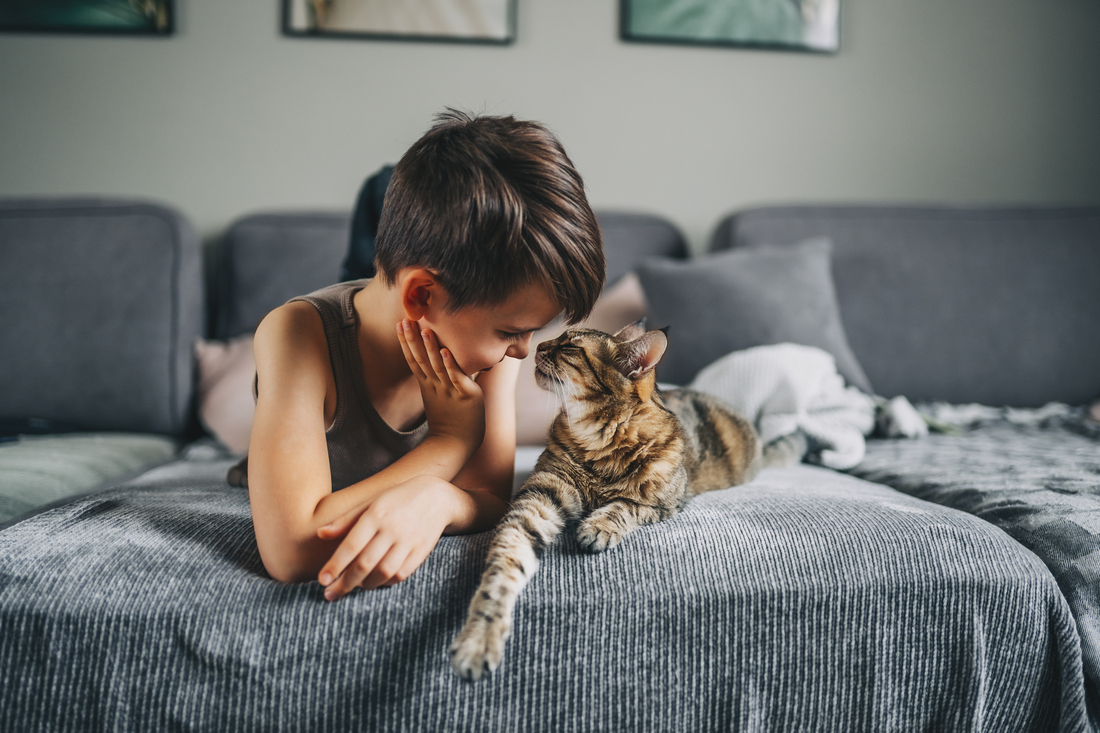 Little boy on couch with cat