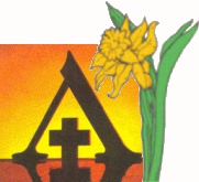 daffodil logo