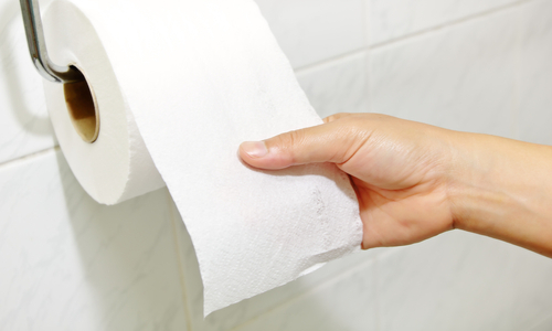 Toilet paper reach.jpg