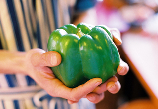 Bell pepper.jpg