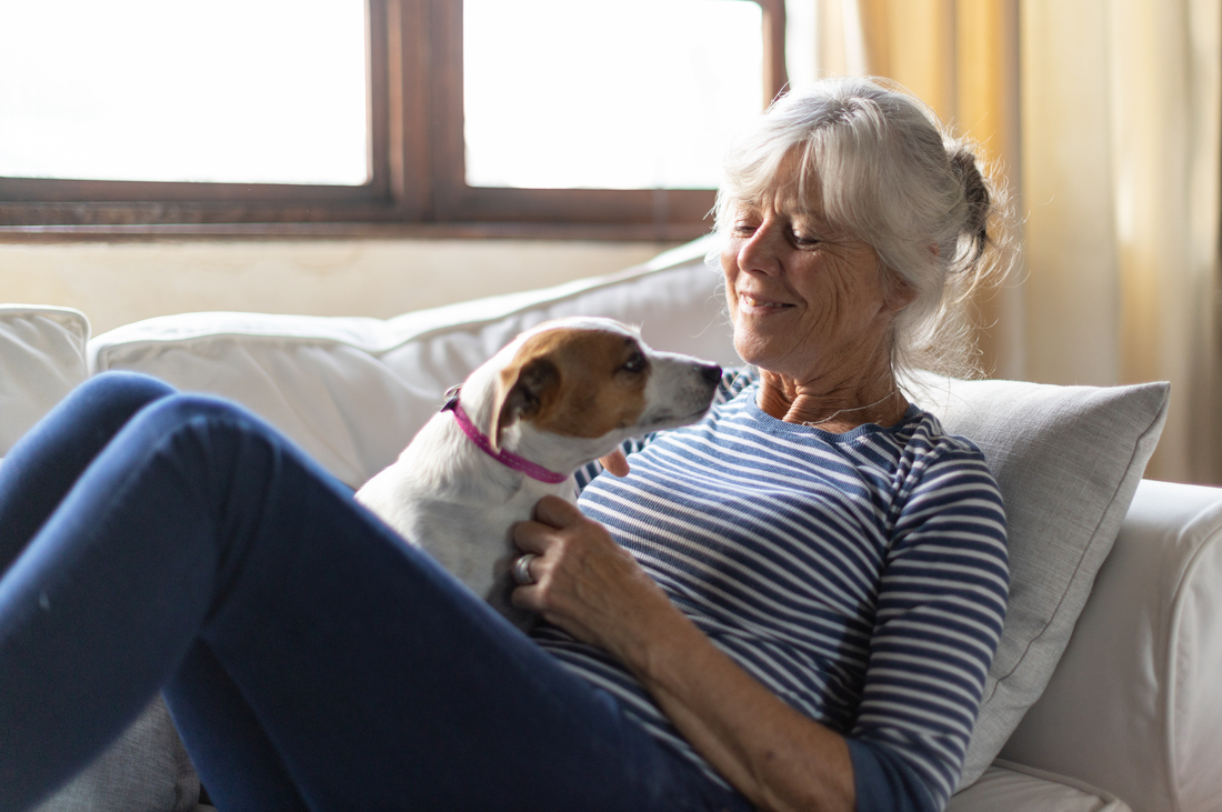 Woman playing with dog at home.jpg