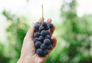 Grape.jpg