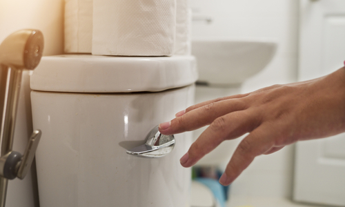 Person reaching to flush toilet.jpg